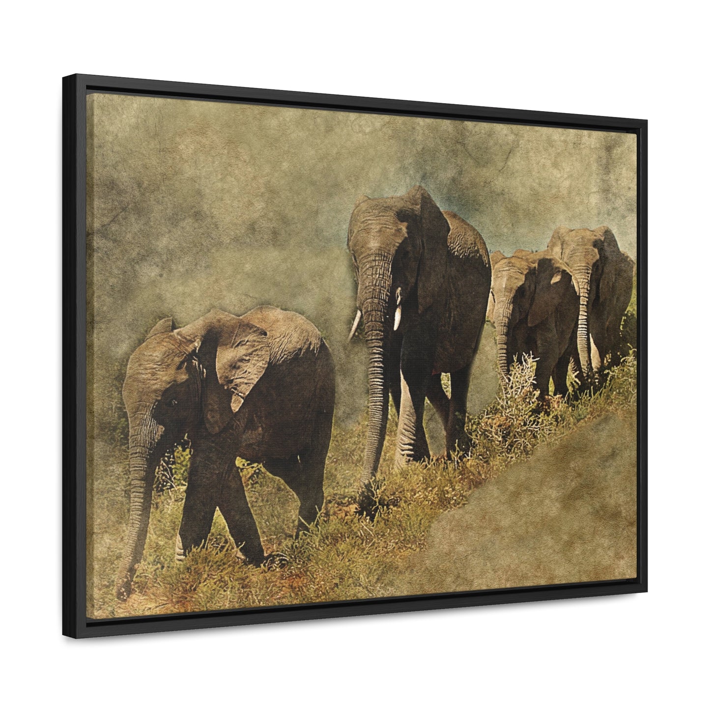 Gallery Canvas Wraps, Horizontal Frame