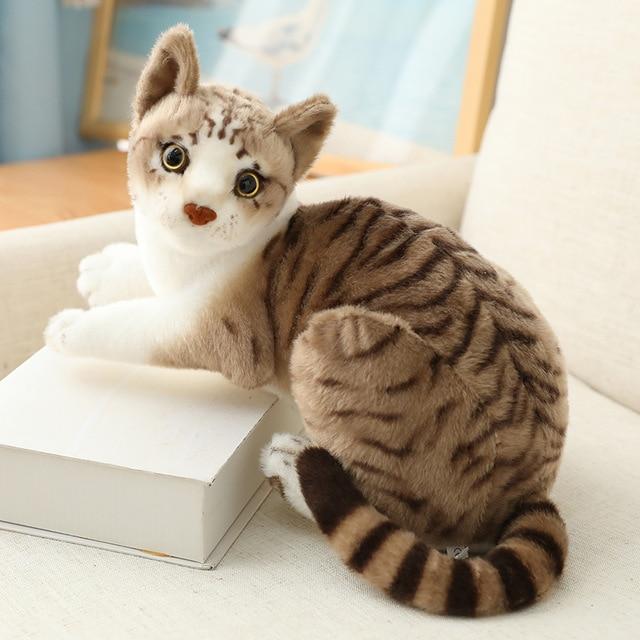 Diverse Collection of Cat Plush Toys from Around the World