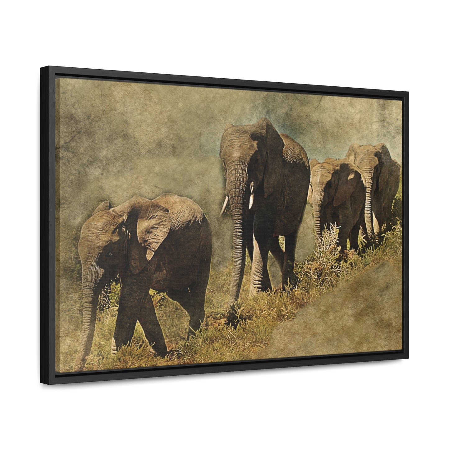 Gallery Canvas Wraps, Horizontal Frame