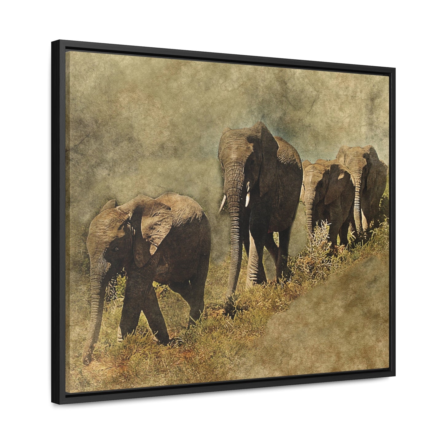 Gallery Canvas Wraps, Horizontal Frame