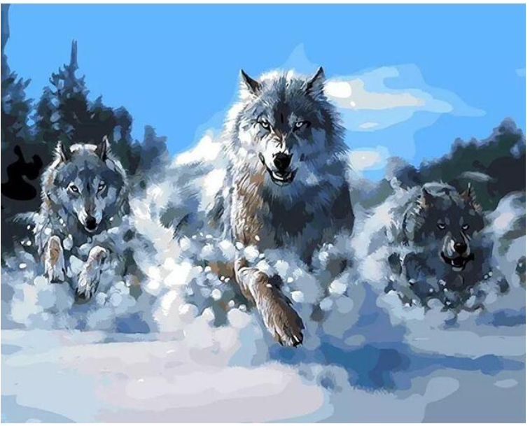 Wolf Race in the Snow - DIY Painting By Numbers Kits