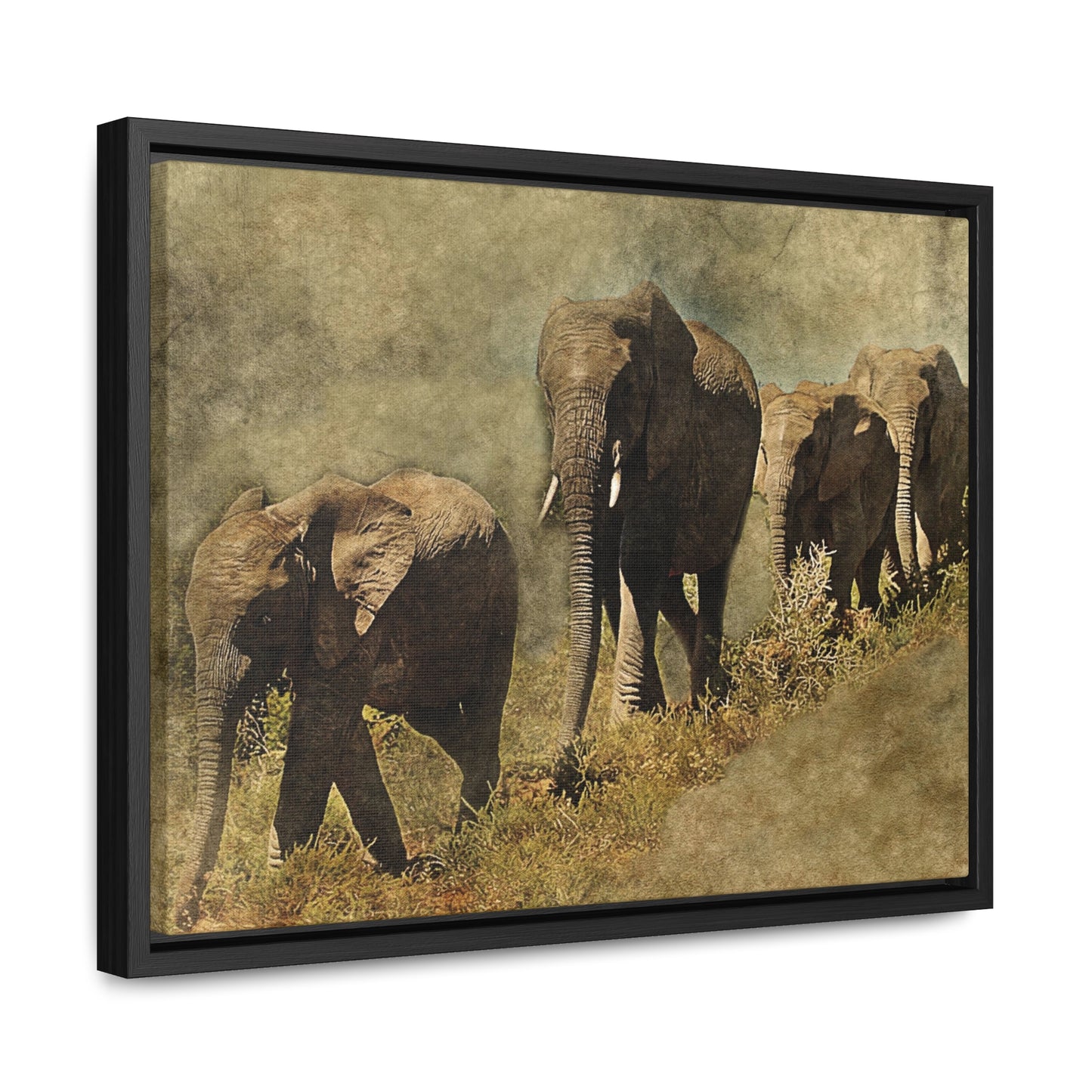 Gallery Canvas Wraps, Horizontal Frame