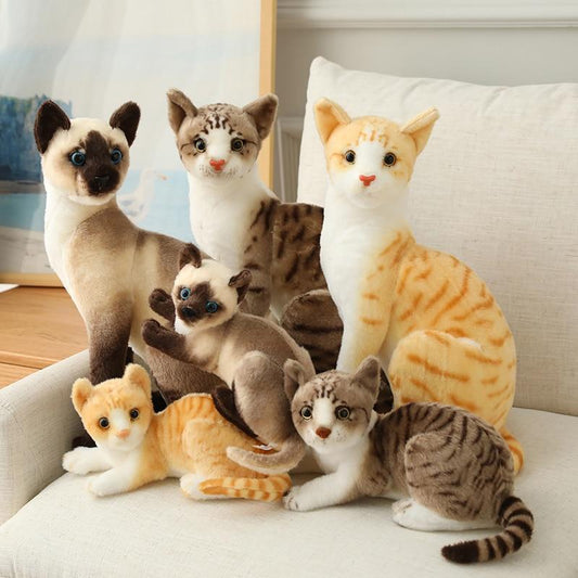 Diverse Collection of Cat Plush Toys from Around the World