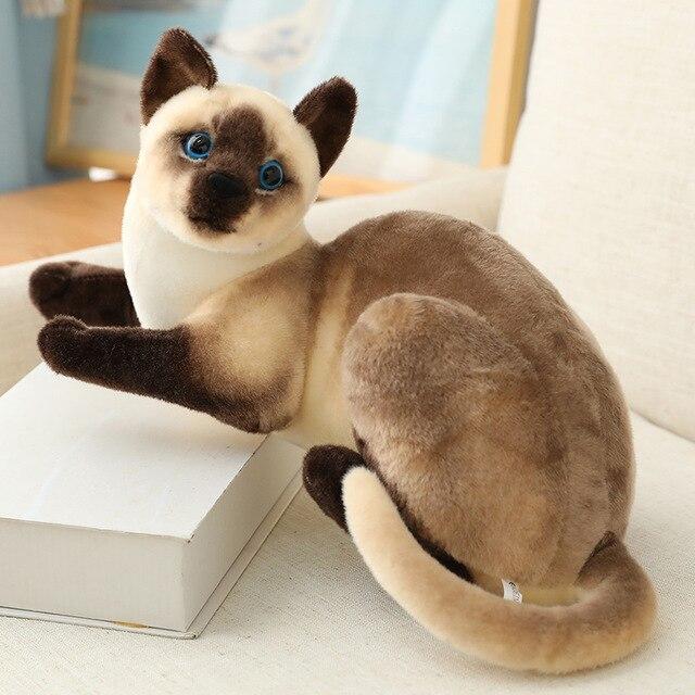 Diverse Collection of Cat Plush Toys from Around the World