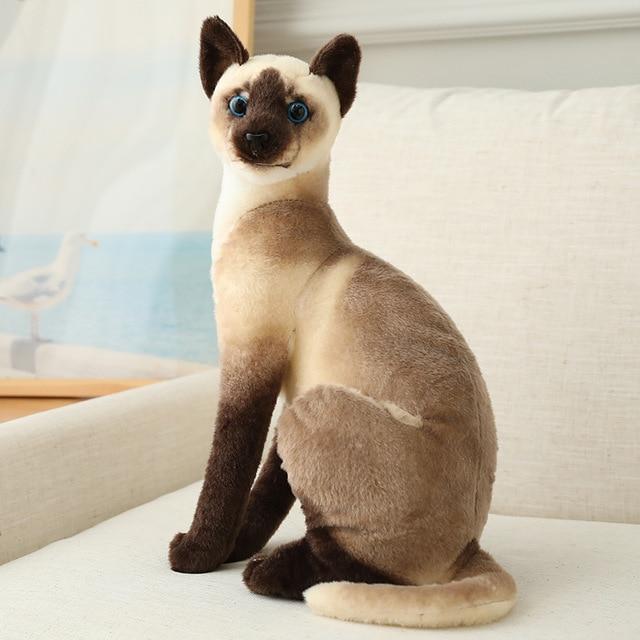 Diverse Collection of Cat Plush Toys from Around the World