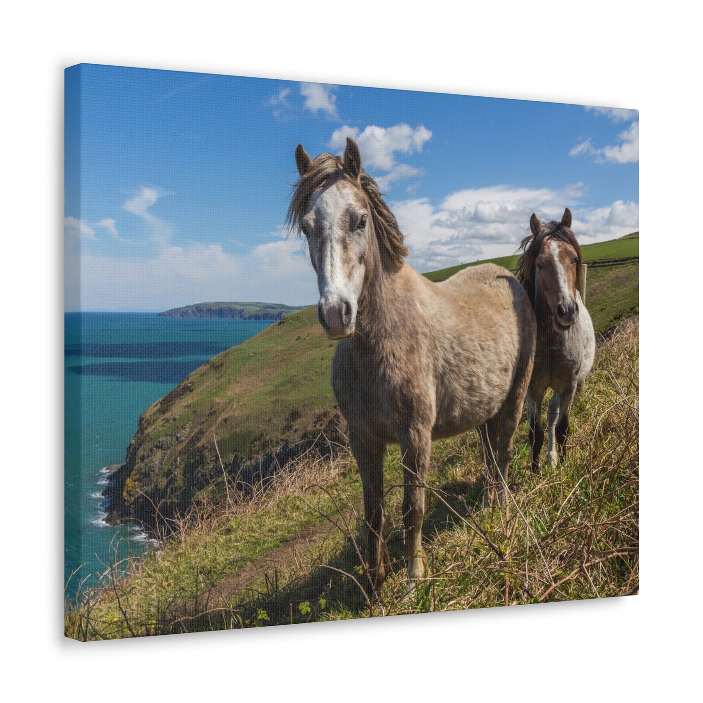 Classic Canvas Two Horses