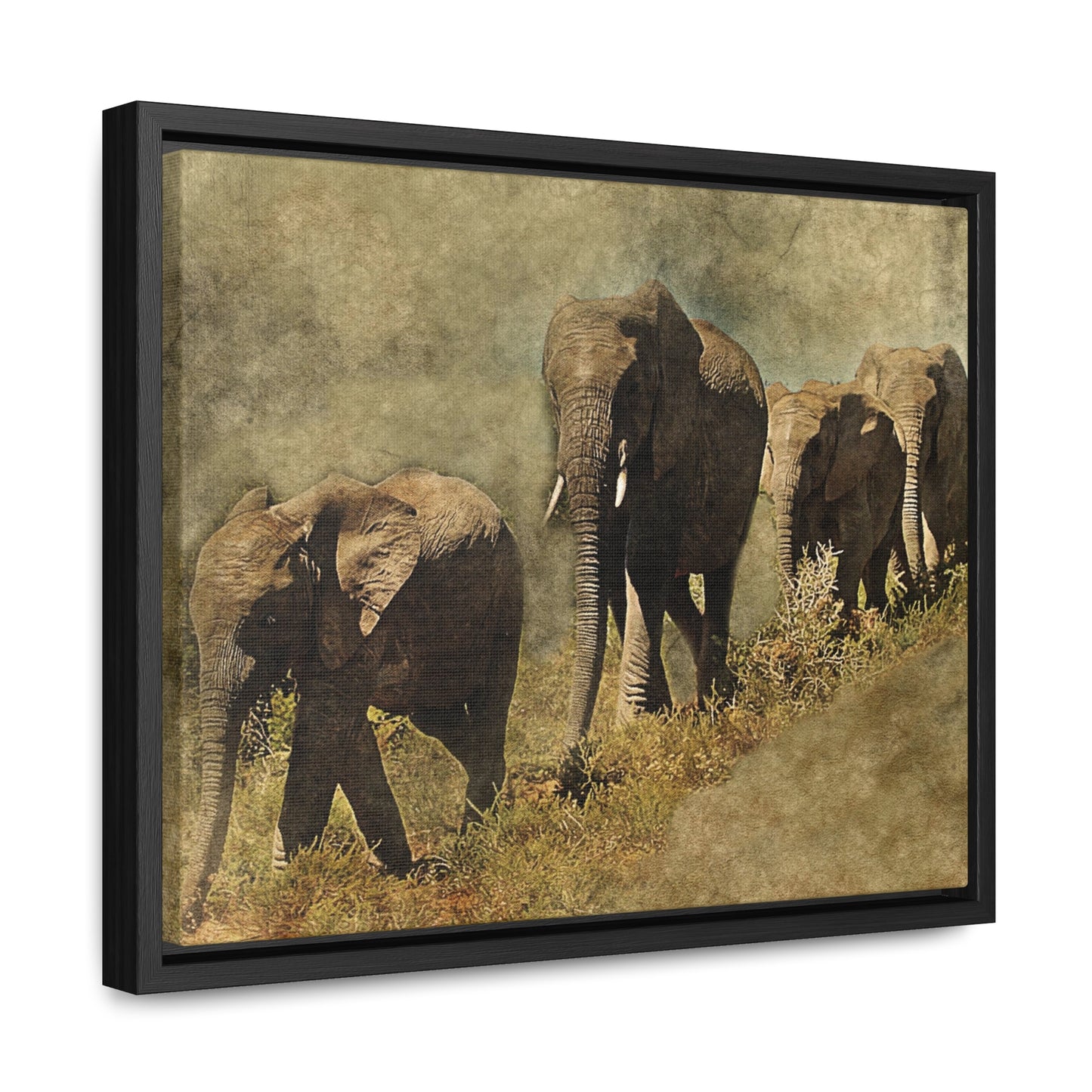 Gallery Canvas Wraps, Horizontal Frame