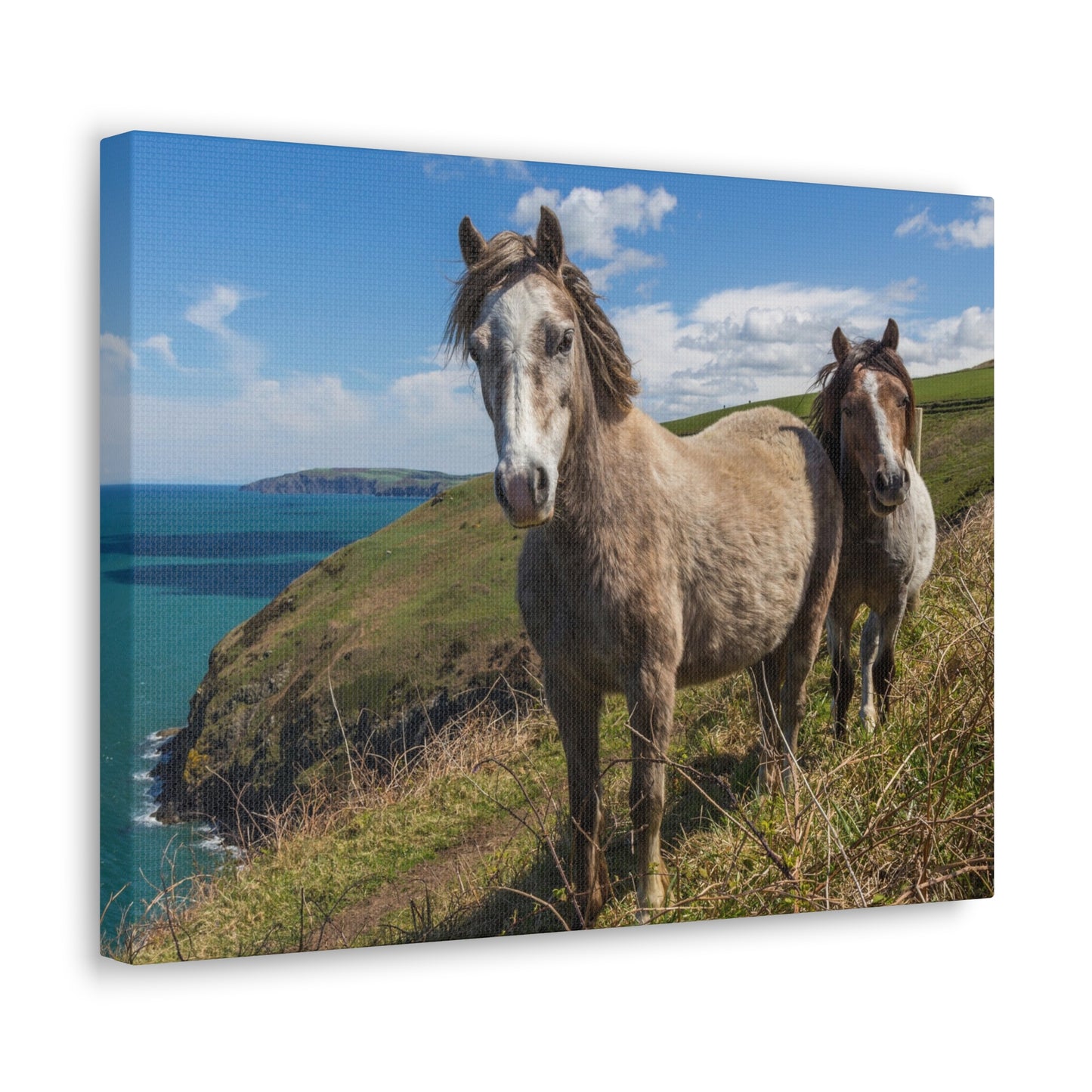 Classic Canvas Two Horses