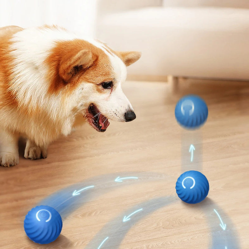 Smart Dog Toy Ball for Dogs Electronic Interactive Pet Products Training Plush Automatic Jump Roll Ball Rechargeable