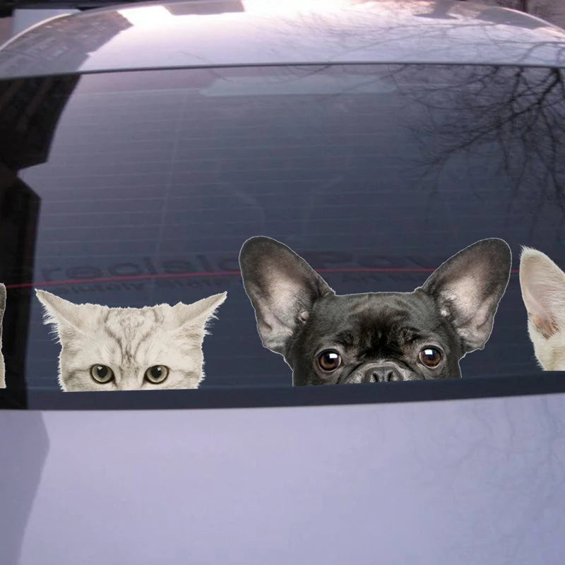 Funny 3D Cat Dog Half a face Peeking car sticker Wall background Art decals decorations cute animal wall stickers for home decor