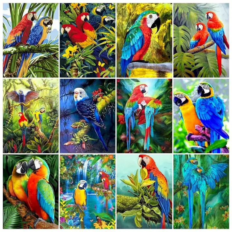 Painting By Numbers On Canvas Animals DIY Frameless Oil Painting By Numbers Parrot Picture Home Decor