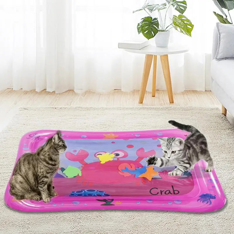 Sensor Water Playmat PVC Infant Toddler Water Pad Pet Play Sensory Toys Summer Water Play Mat For Kids Children Early Education