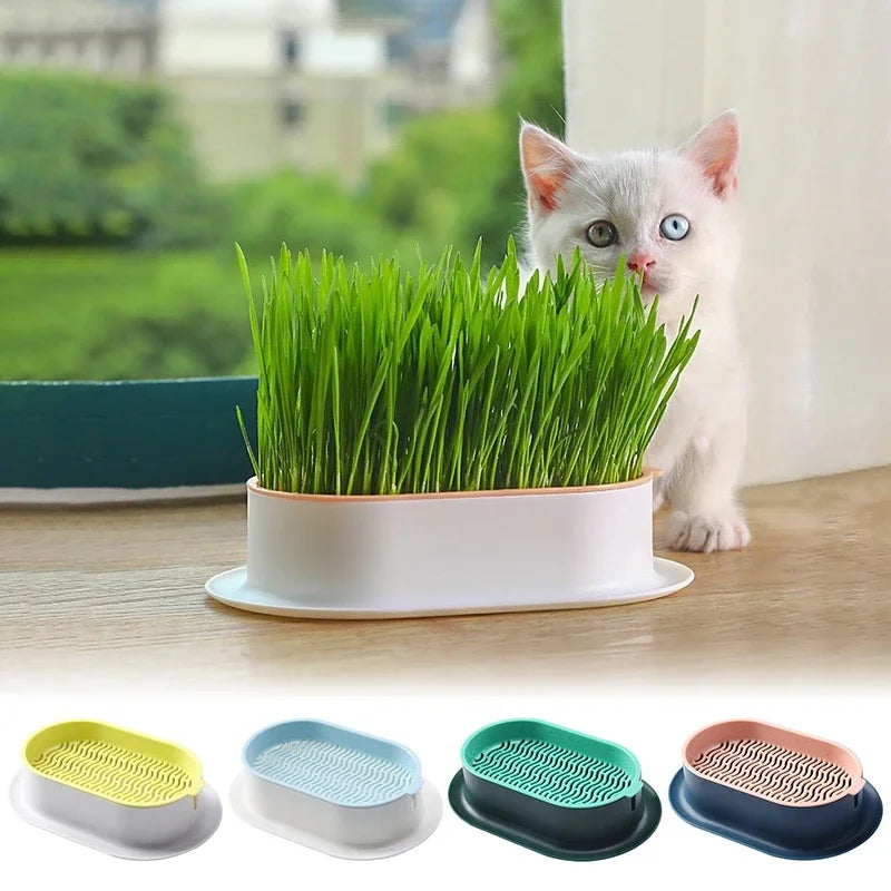 Pet Cat Grass Digestion Growing Tray Cat Mint Planting Box Catgrass Basin Greenhouse Hydroponics Bowl Nursery Pot Grow Box