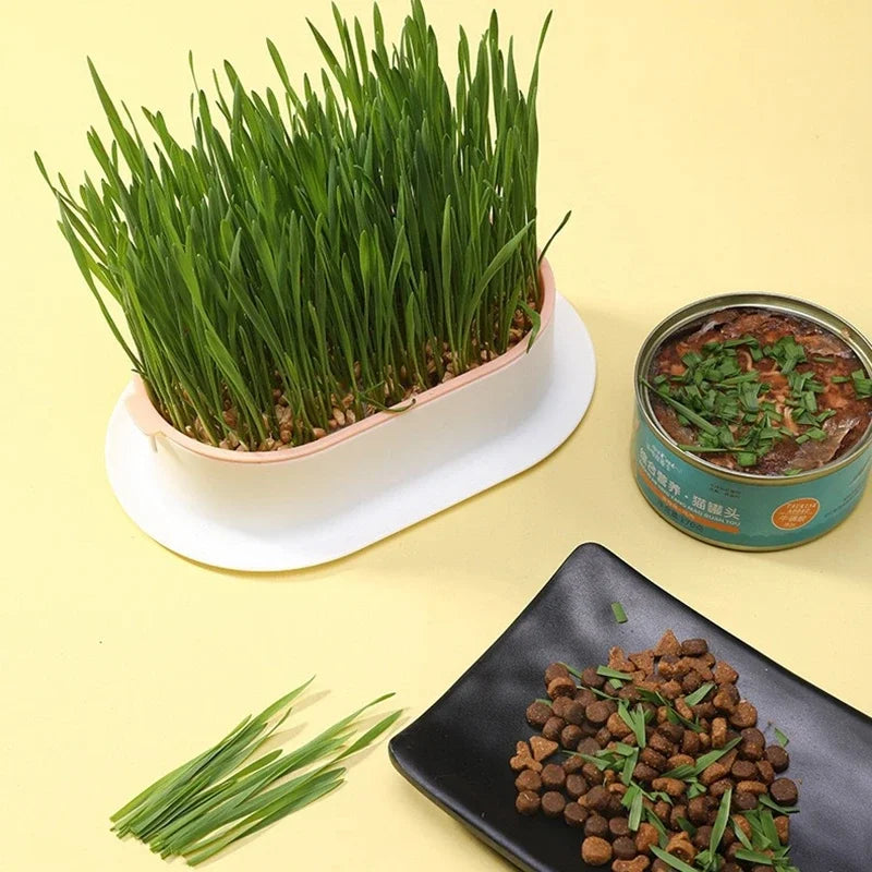 Pet Cat Grass Digestion Growing Tray Cat Mint Planting Box Catgrass Basin Greenhouse Hydroponics Bowl Nursery Pot Grow Box