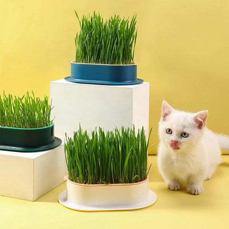 Pet Cat Grass Digestion Growing Tray Cat Mint Planting Box Catgrass Basin Greenhouse Hydroponics Bowl Nursery Pot Grow Box