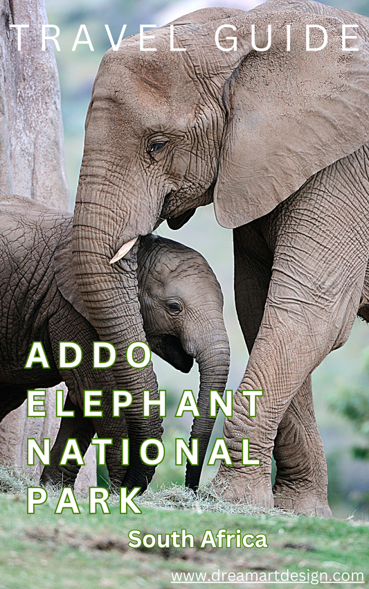 Travel Guide of the Addo Elephant National Park South Africa