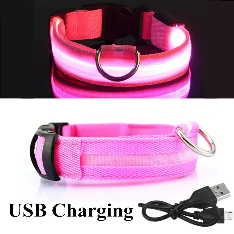 LED Dog Collar For Safe Walking At Night