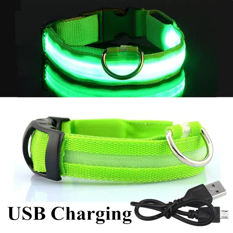 LED Dog Collar For Safe Walking At Night