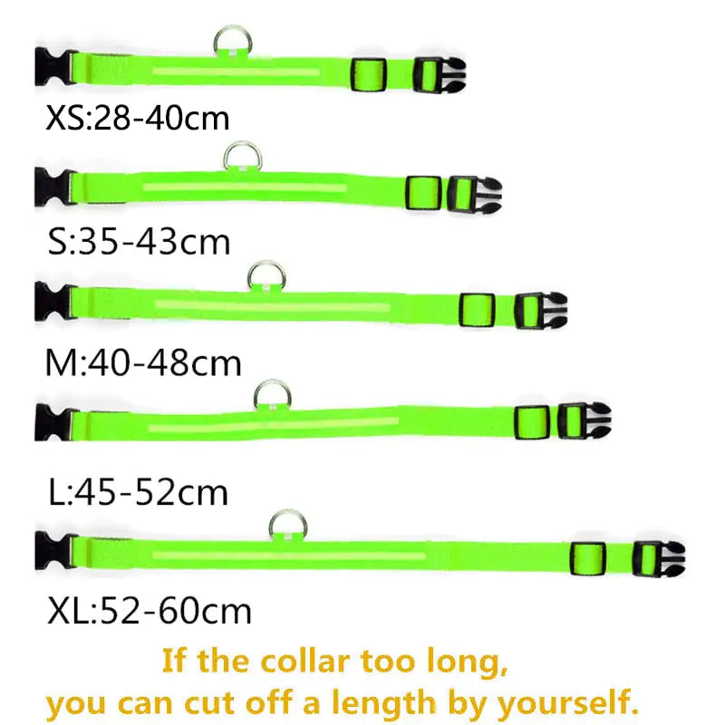 LED Dog Collar For Safe Walking At Night