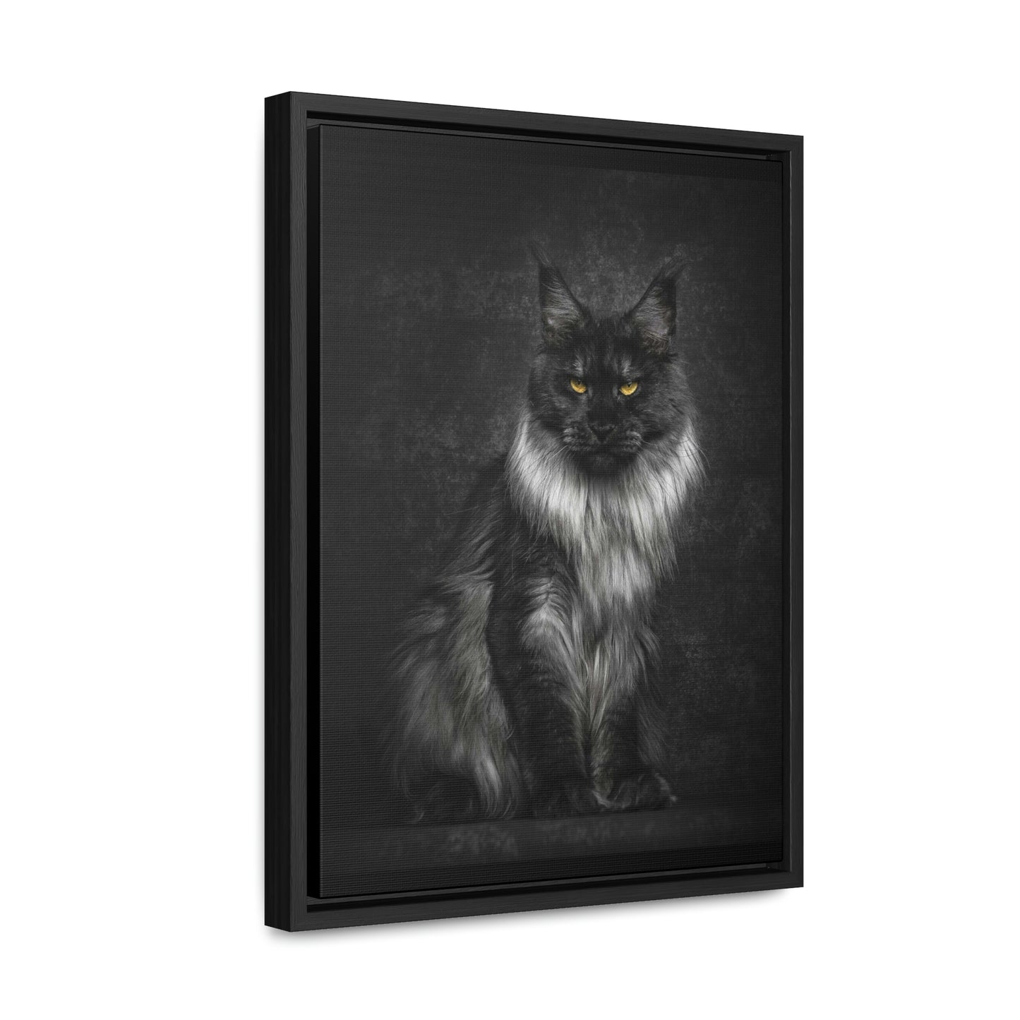 Beautiful long haired black and white Cat Gallery Canvas Wraps, Vertical Frame