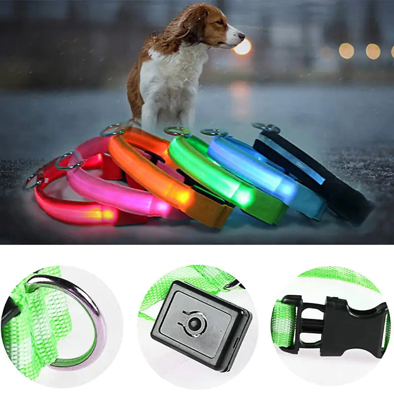 LED Dog Collar For Safe Walking At Night