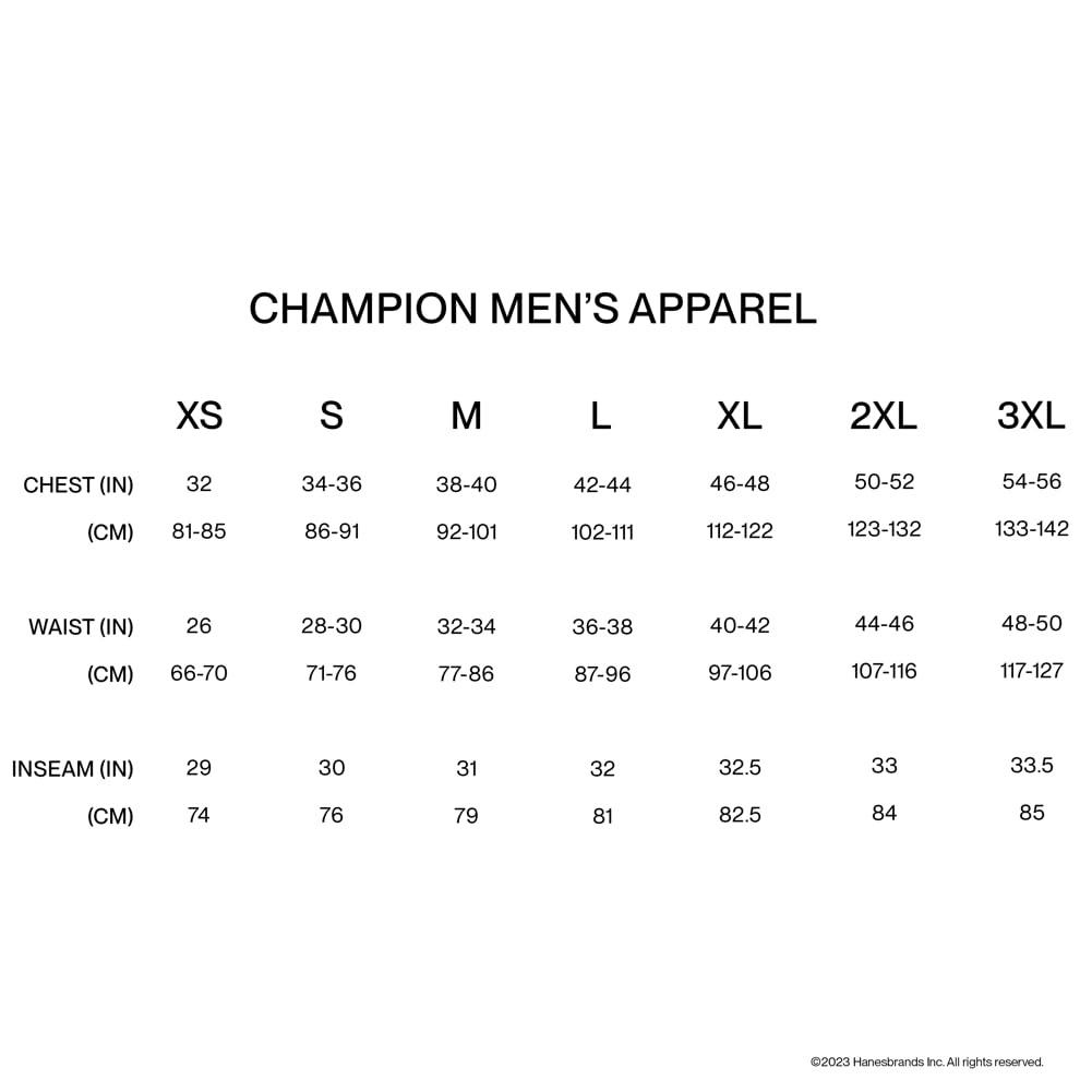 Champion, Cotton Midweight Crewneck Tee, T-Shirt for Men, (Reg. or Big & Tall), Black Script, 4X-Large