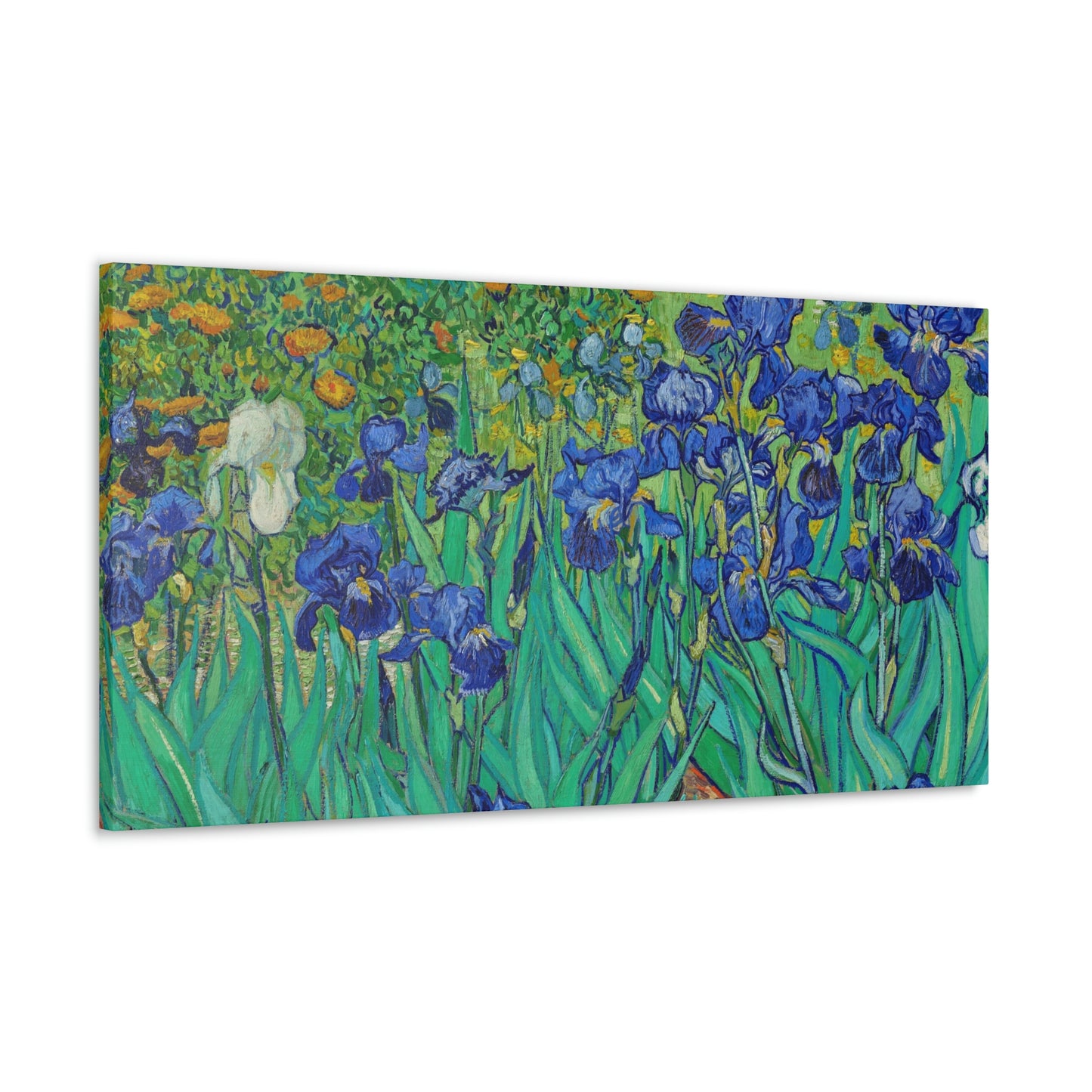 Classic Canvas Blue Iris by Vincent van Gogh amous Flower Painting Reproduction Canvas Print