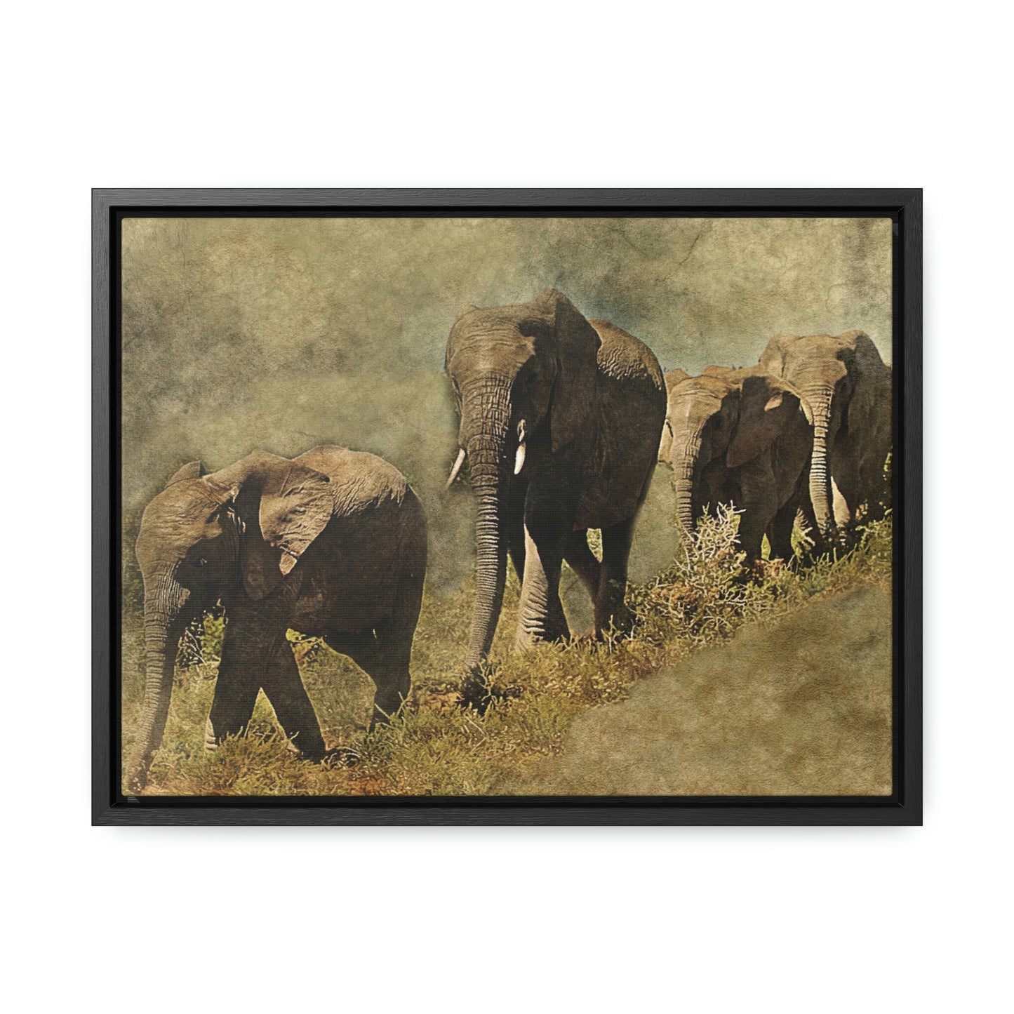 Elephant Family Gallery Canvas Wraps, Horizontal Frame