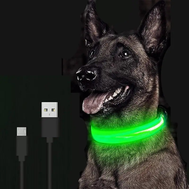 LED Dog Collar For Safe Walking At Night