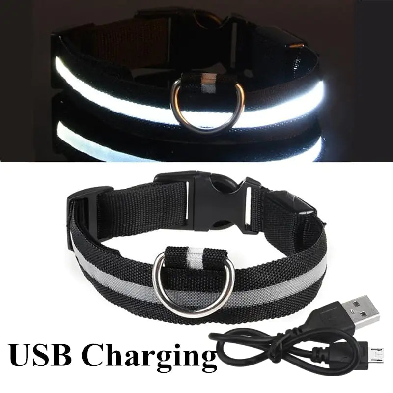 LED Dog Collar For Safe Walking At Night