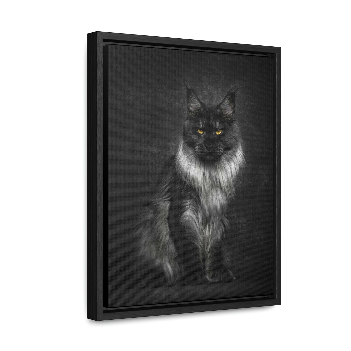 Beautiful long haired black and white Cat Gallery Canvas Wraps, Vertical Frame