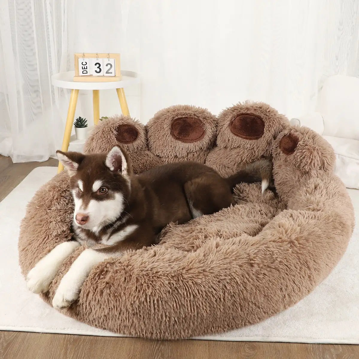 Cozy Comfortable Pet Dog Sofa Beds