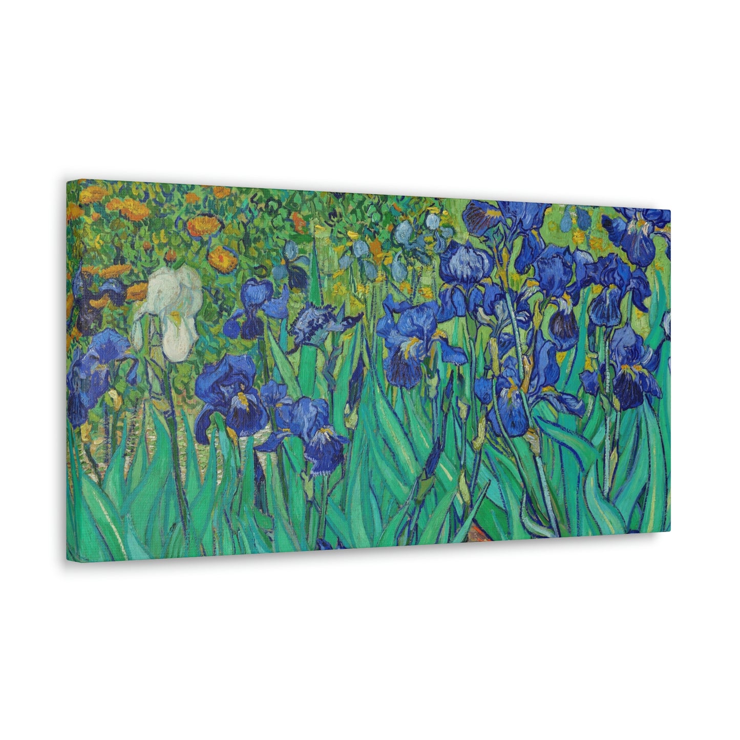 Classic Canvas Blue Iris by Vincent van Gogh amous Flower Painting Reproduction Canvas Print