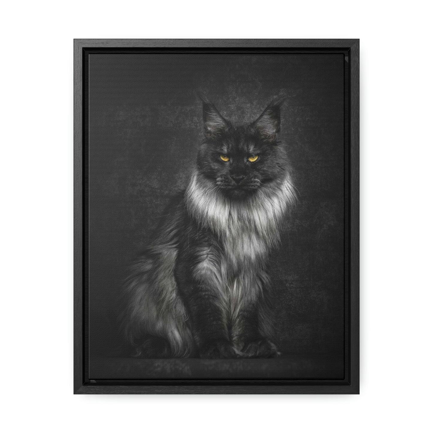 Beautiful long haired black and white Cat Gallery Canvas Wraps, Vertical Frame