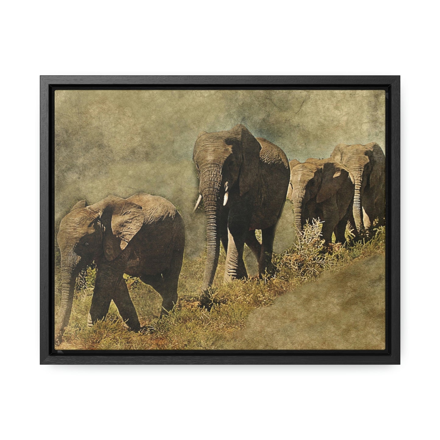 Elephant Family Gallery Canvas Wraps, Horizontal Frame