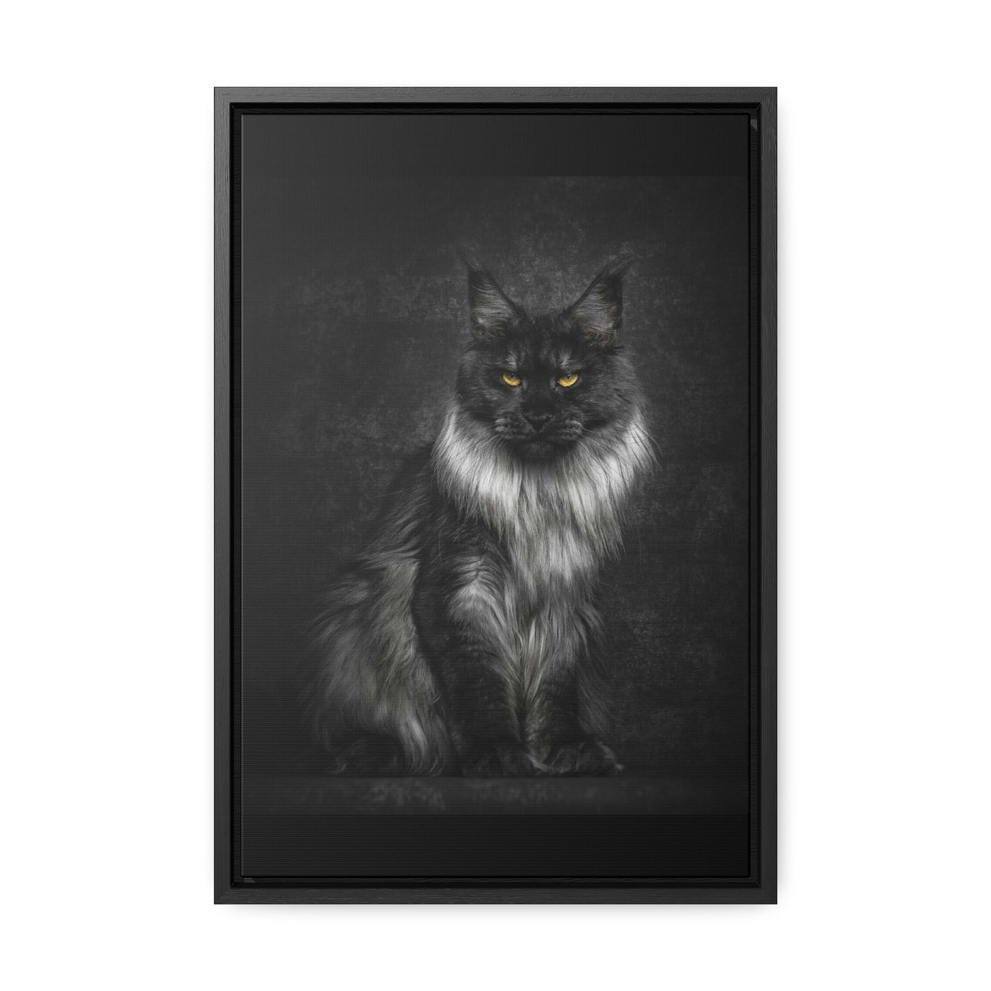 Beautiful long haired black and white Cat Gallery Canvas Wraps, Vertical Frame