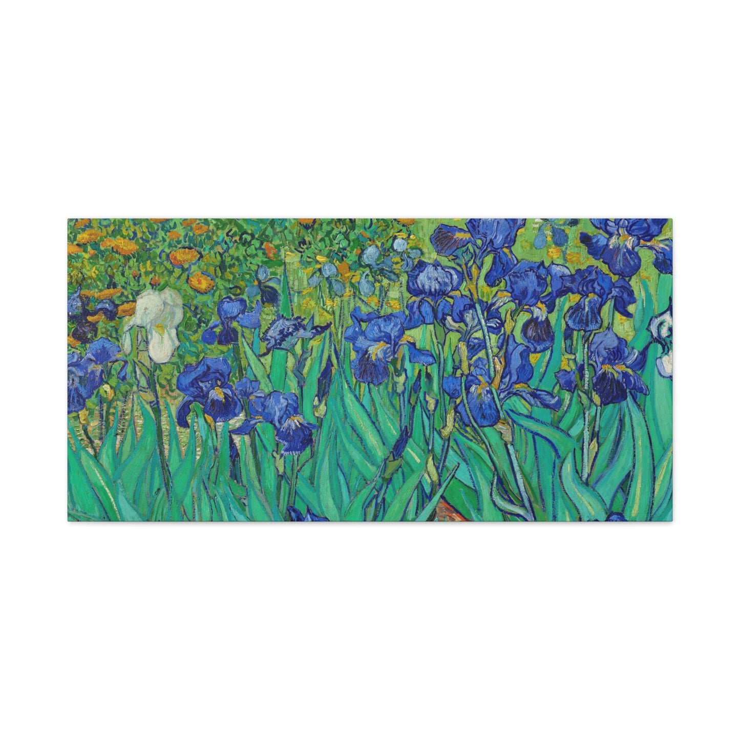 Classic Canvas Blue Iris by Vincent van Gogh amous Flower Painting Reproduction Canvas Print