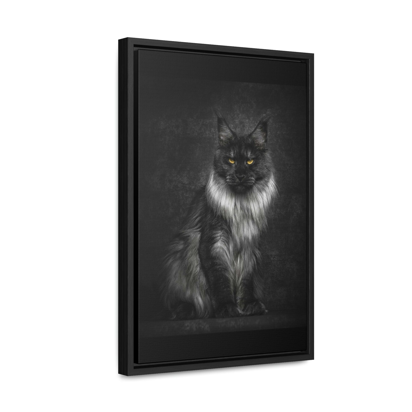 Beautiful long haired black and white Cat Gallery Canvas Wraps, Vertical Frame