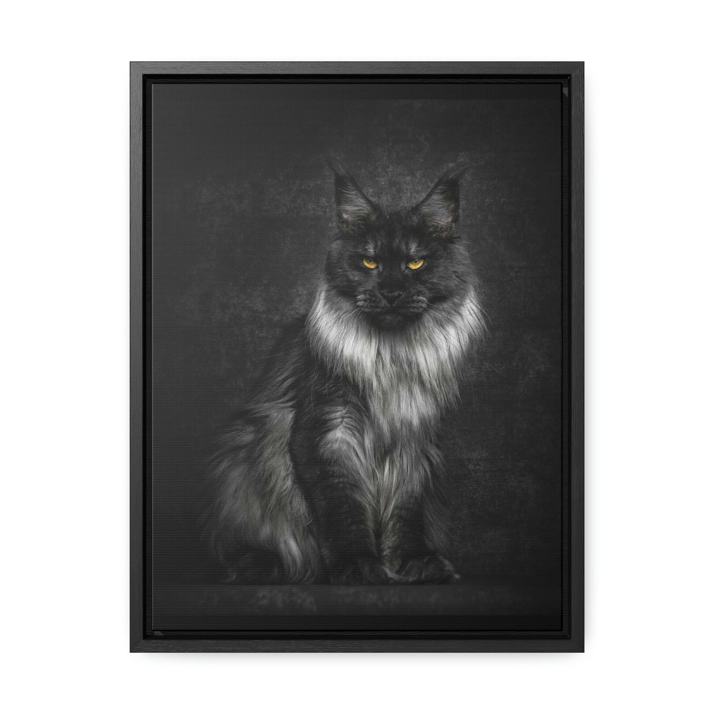 Beautiful long haired black and white Cat Gallery Canvas Wraps, Vertical Frame