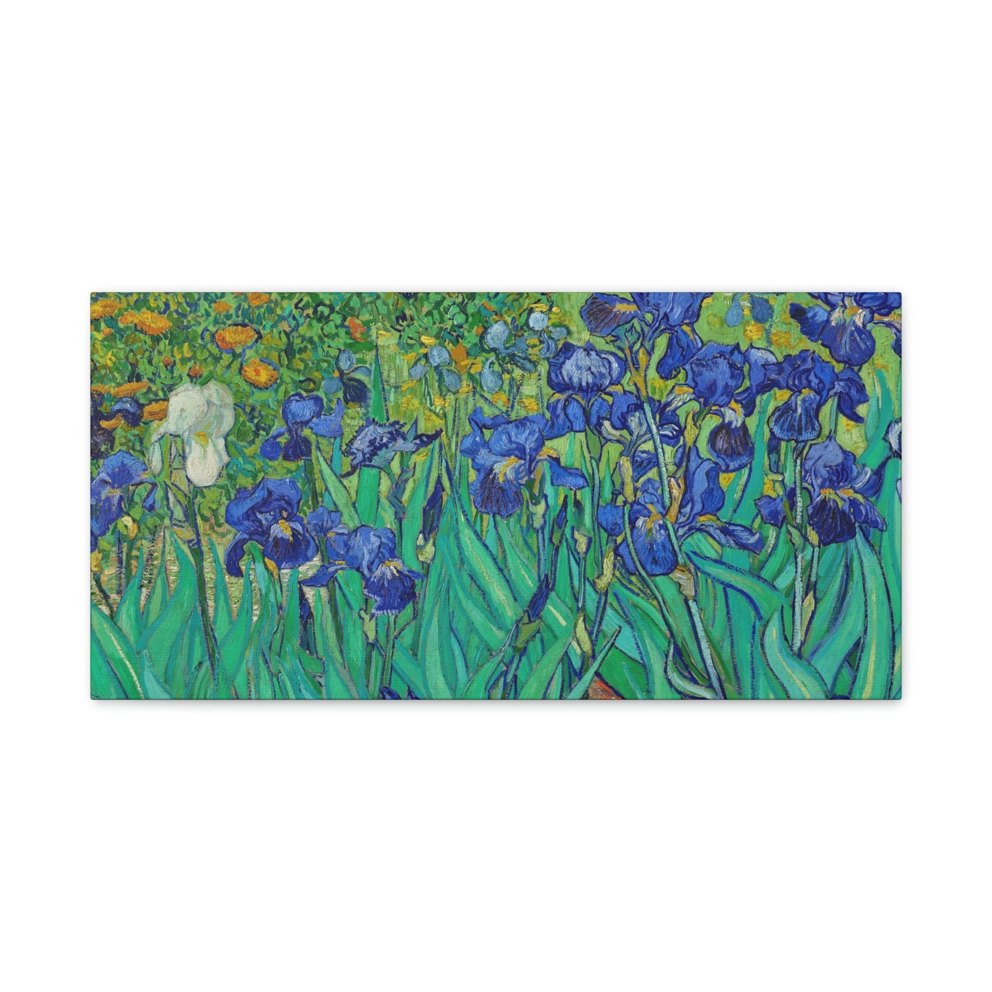 Classic Canvas Blue Iris by Vincent van Gogh amous Flower Painting Reproduction Canvas Print