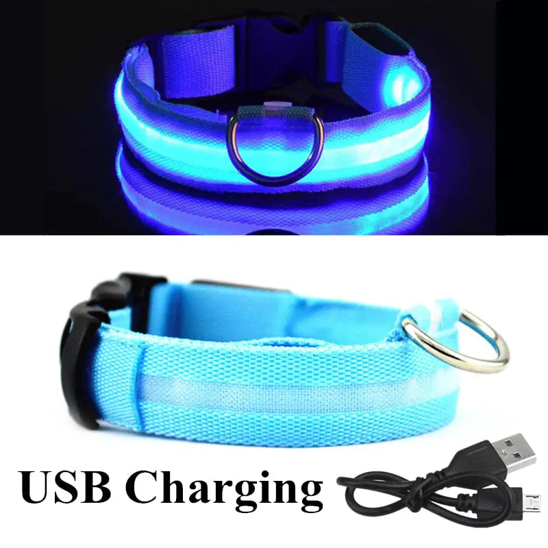 LED Dog Collar For Safe Walking At Night